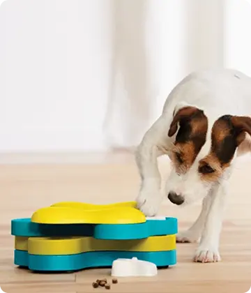 Nina Ottosson#Kreatywne gry i puzzle dla psa i kota