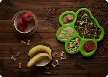 Pet Dream House#Maty do lizania i miski spowalniające jedzenie#L